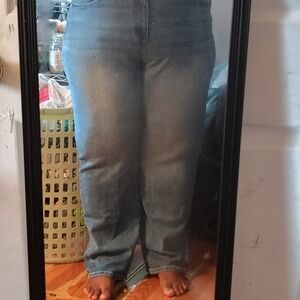 Lane Bryant Women's Light Blue Straight Leg Jeans